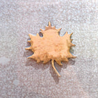 Sycamore Leaf Magnet