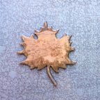 Sycamore Leaf Magnet