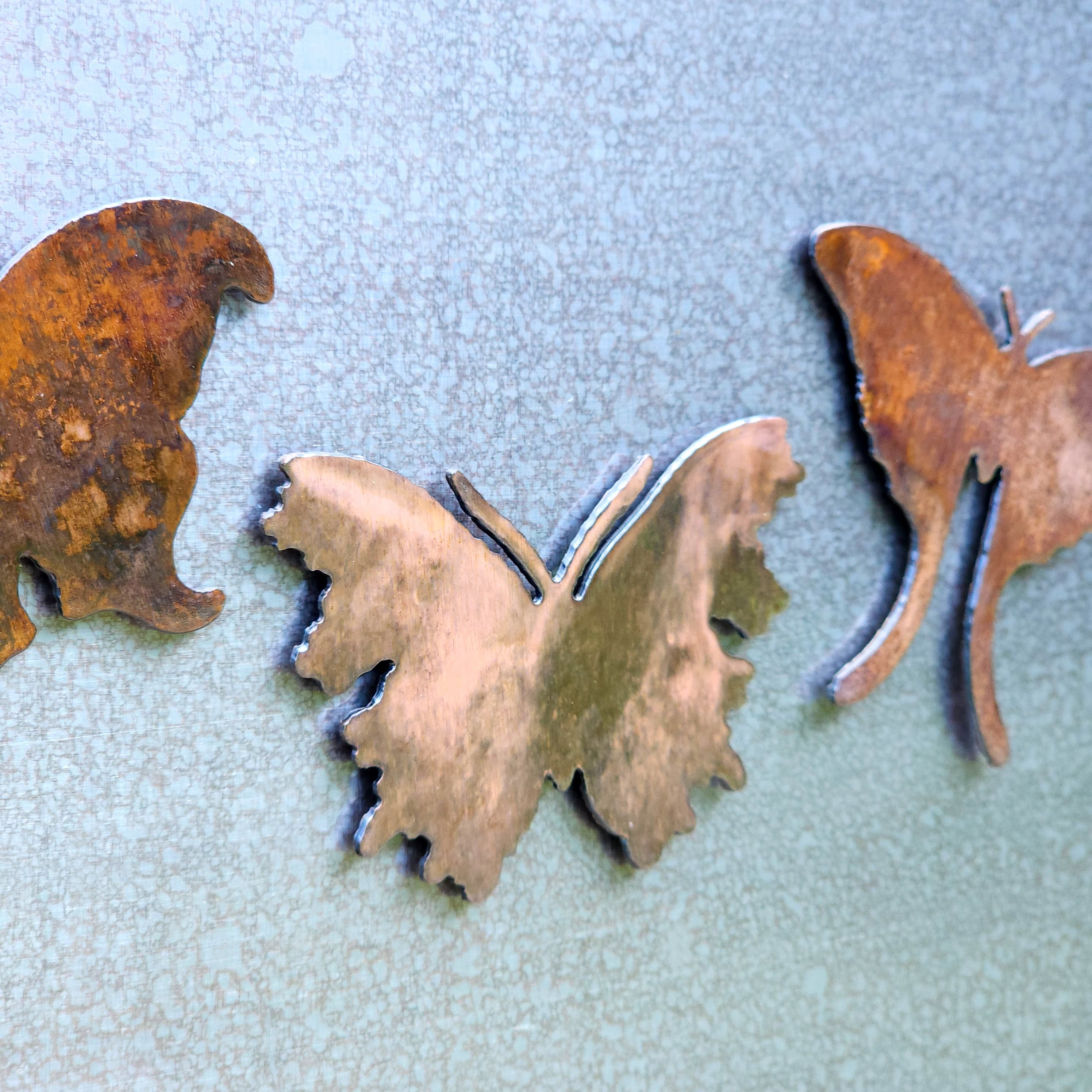 Moth Magnet Set