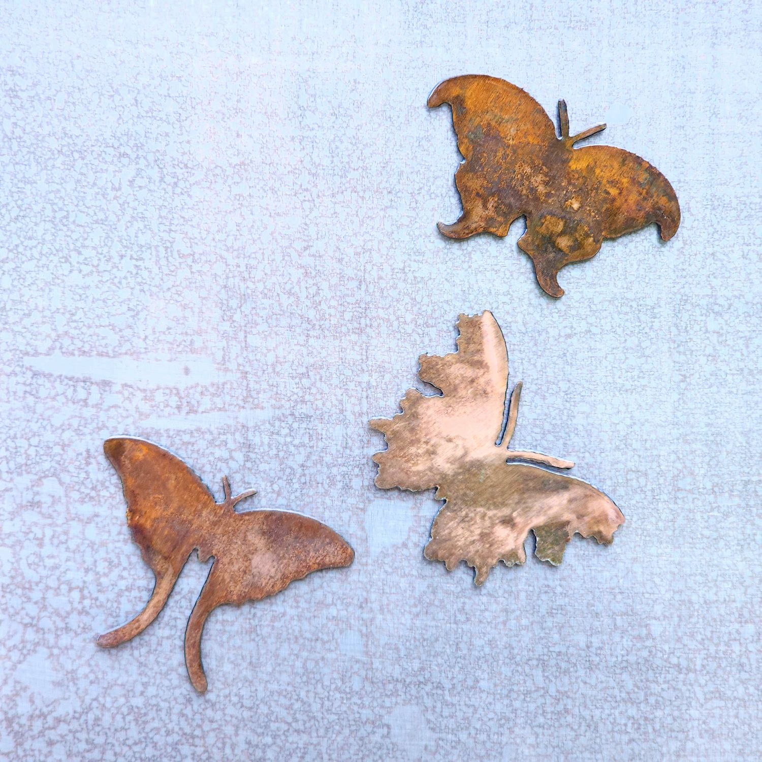 Moth Magnet Set