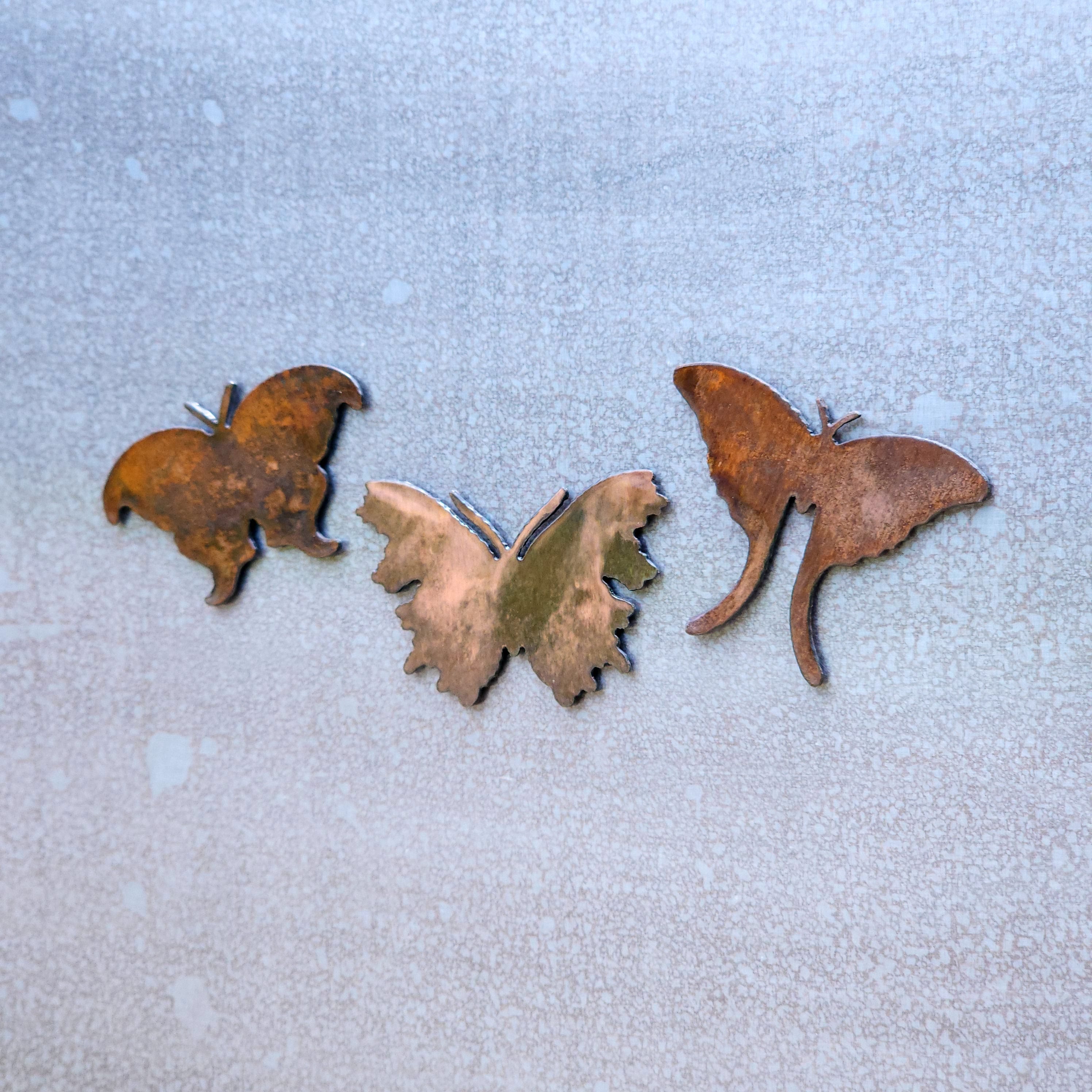 Luna Moth Magnet