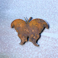Atlas Moth Magnet