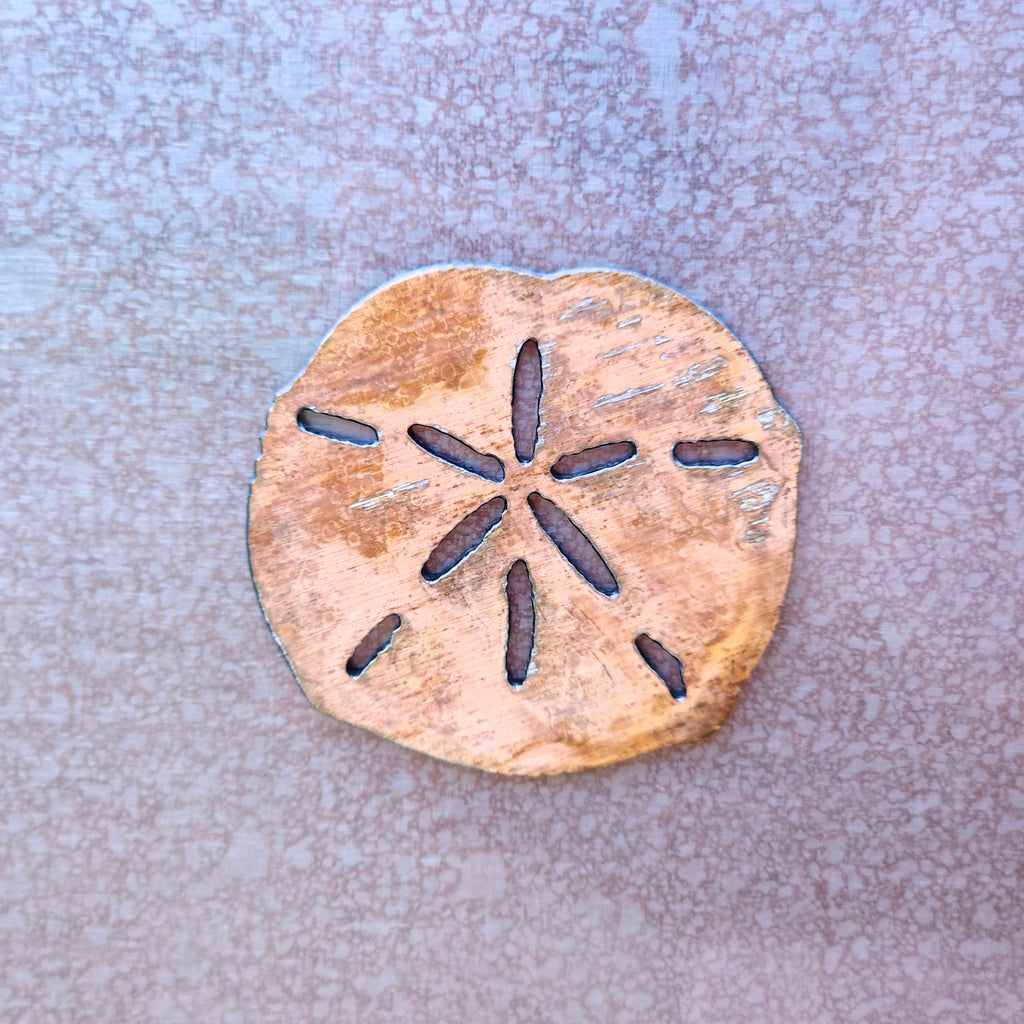 Shell Magnet Set
