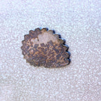 Round Shell Magnet