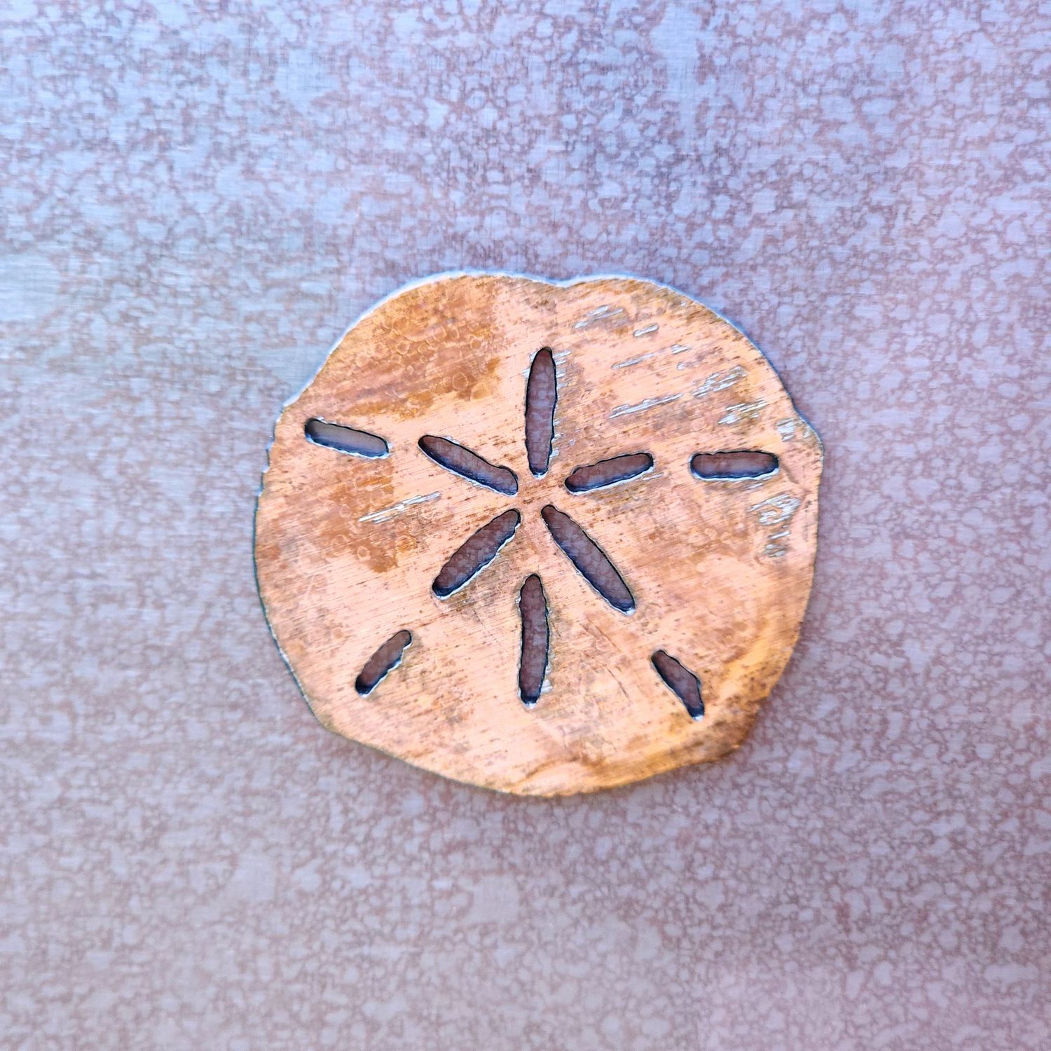 Sand Dollar Shell Magnet