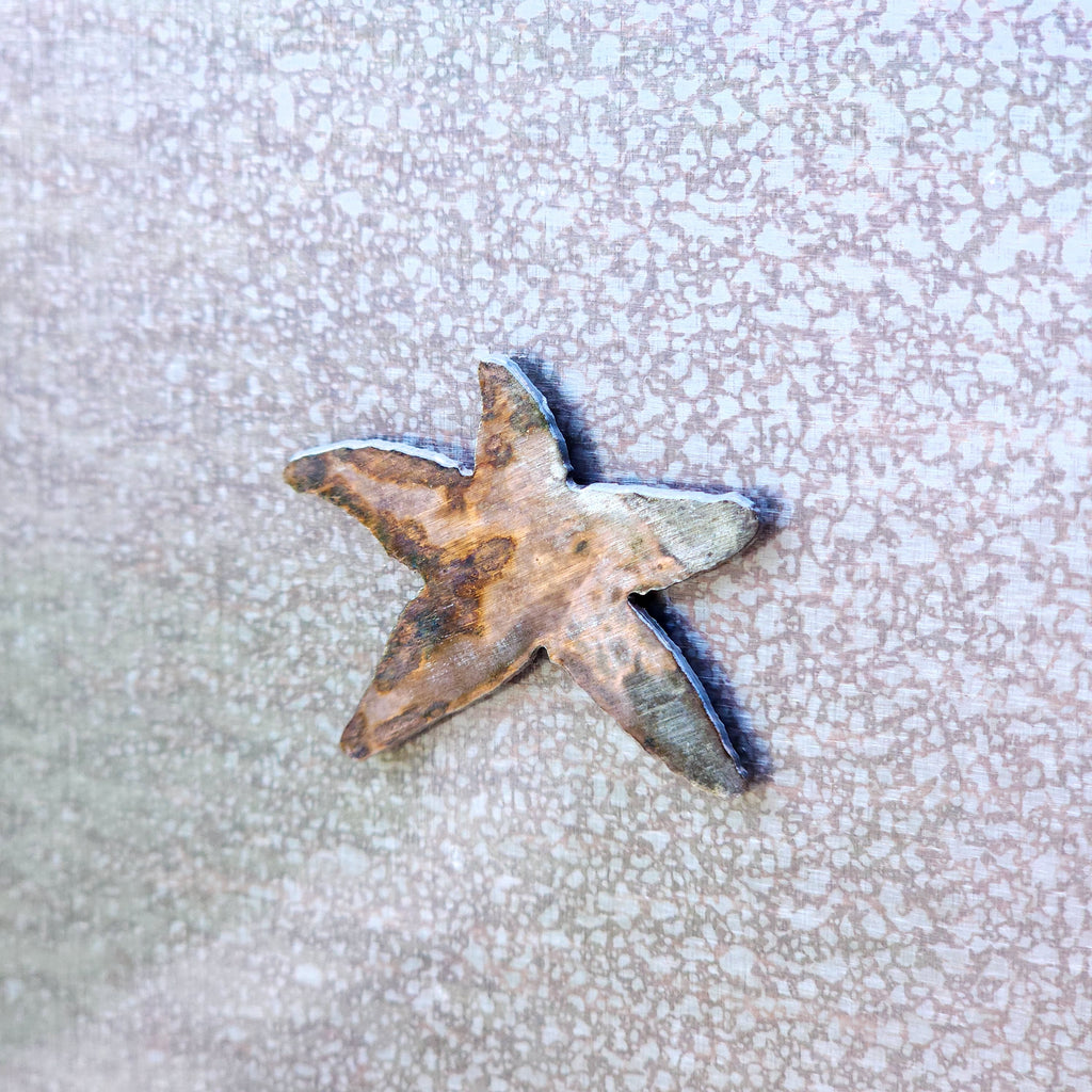 Starfish Magnet