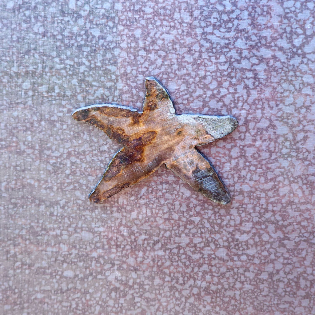 Starfish Magnet