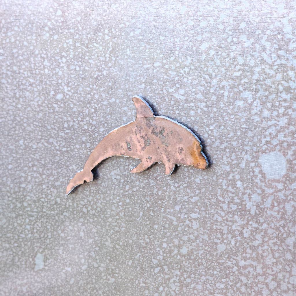 Dolphin Magnet
