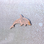 Dolphin Magnet