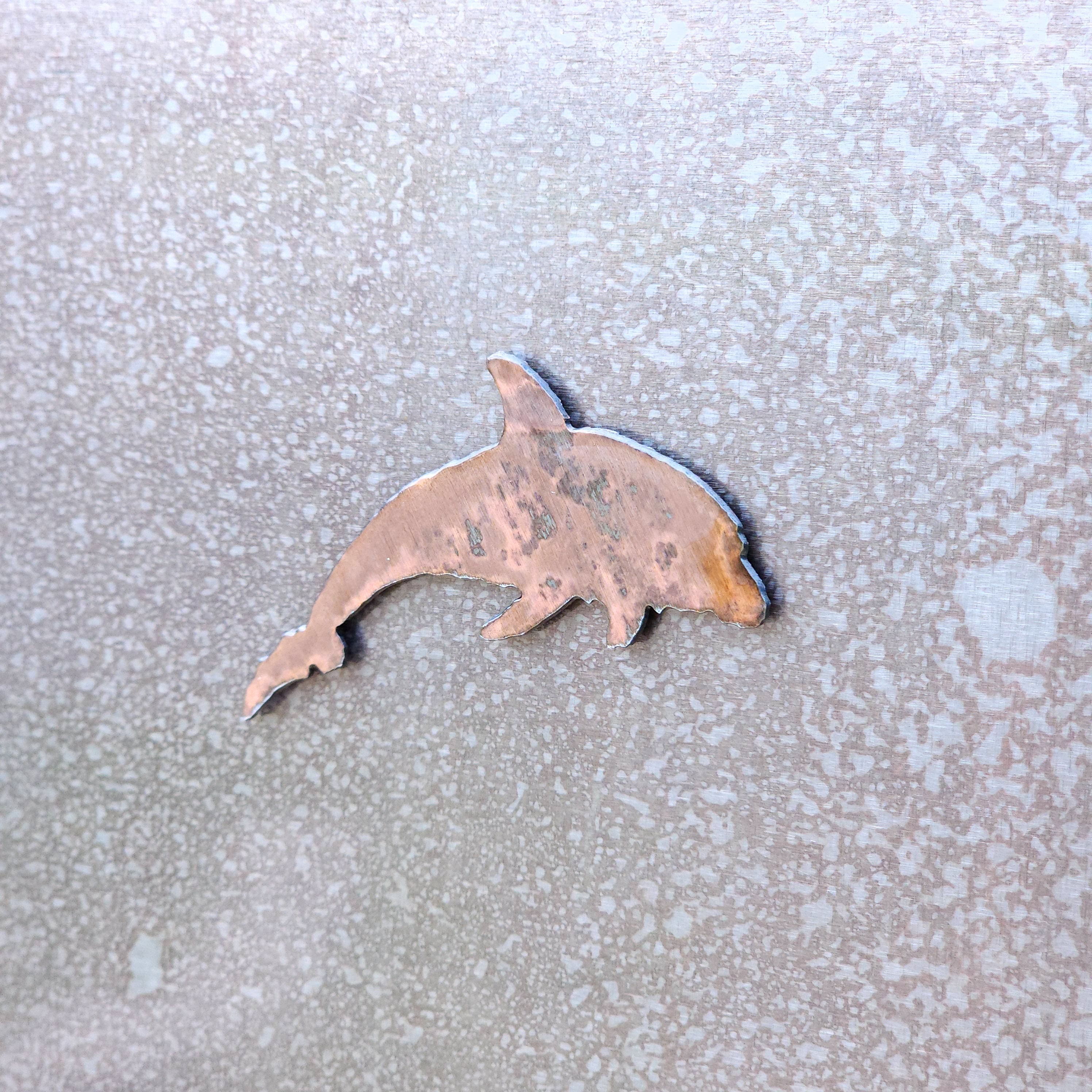 Dolphin Magnet