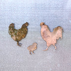 Chicken Family Magnet Set