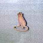 Spider Monkey Magnet
