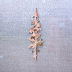 Tall Tree Magnet