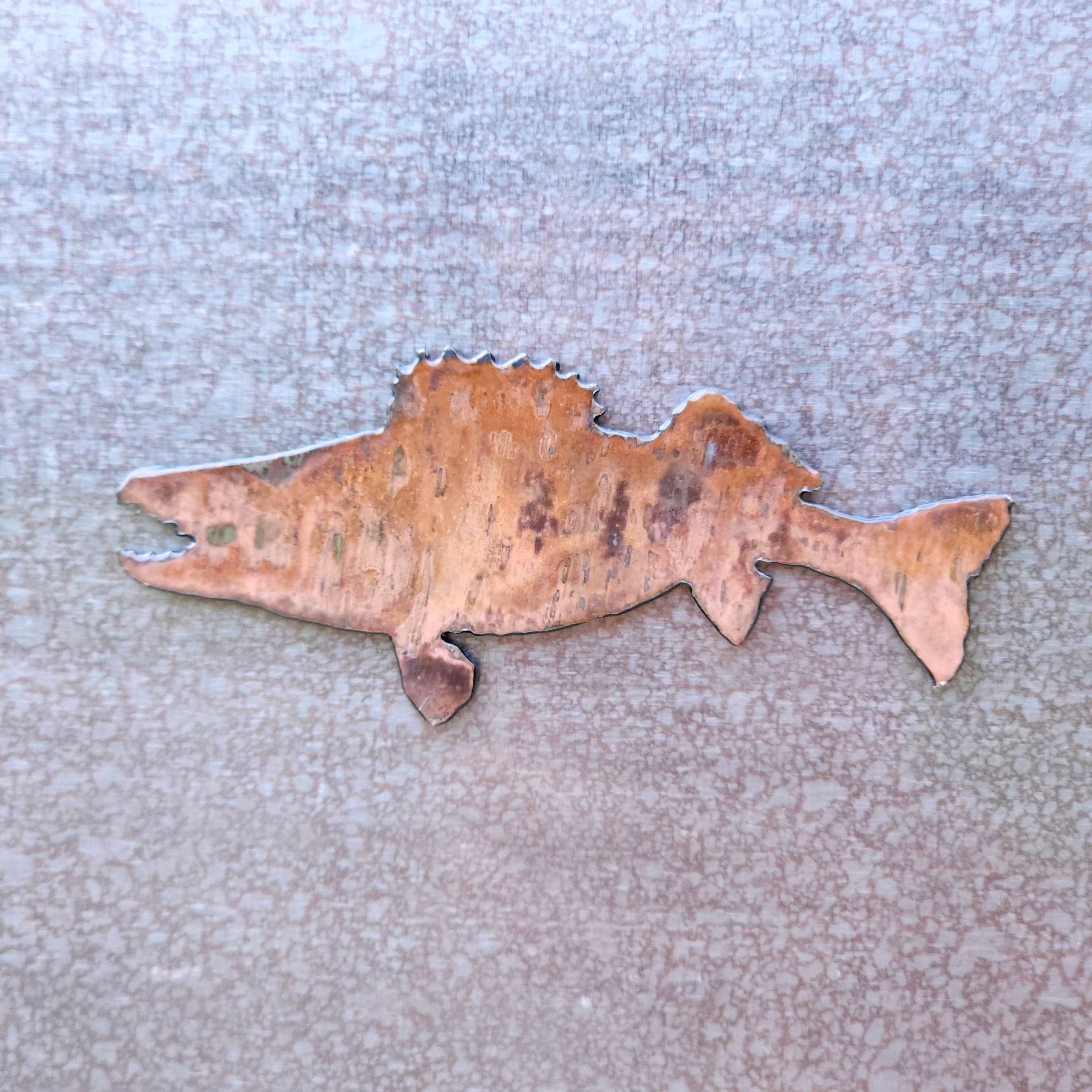 Fierce Walleye Magnet / Sticker