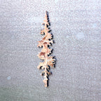 Tree Lover Magnet Set