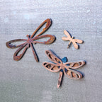 Dragonfly Magnet Set