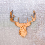 Buck Head Magnet