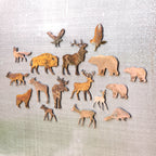 Bear Magnet Set
