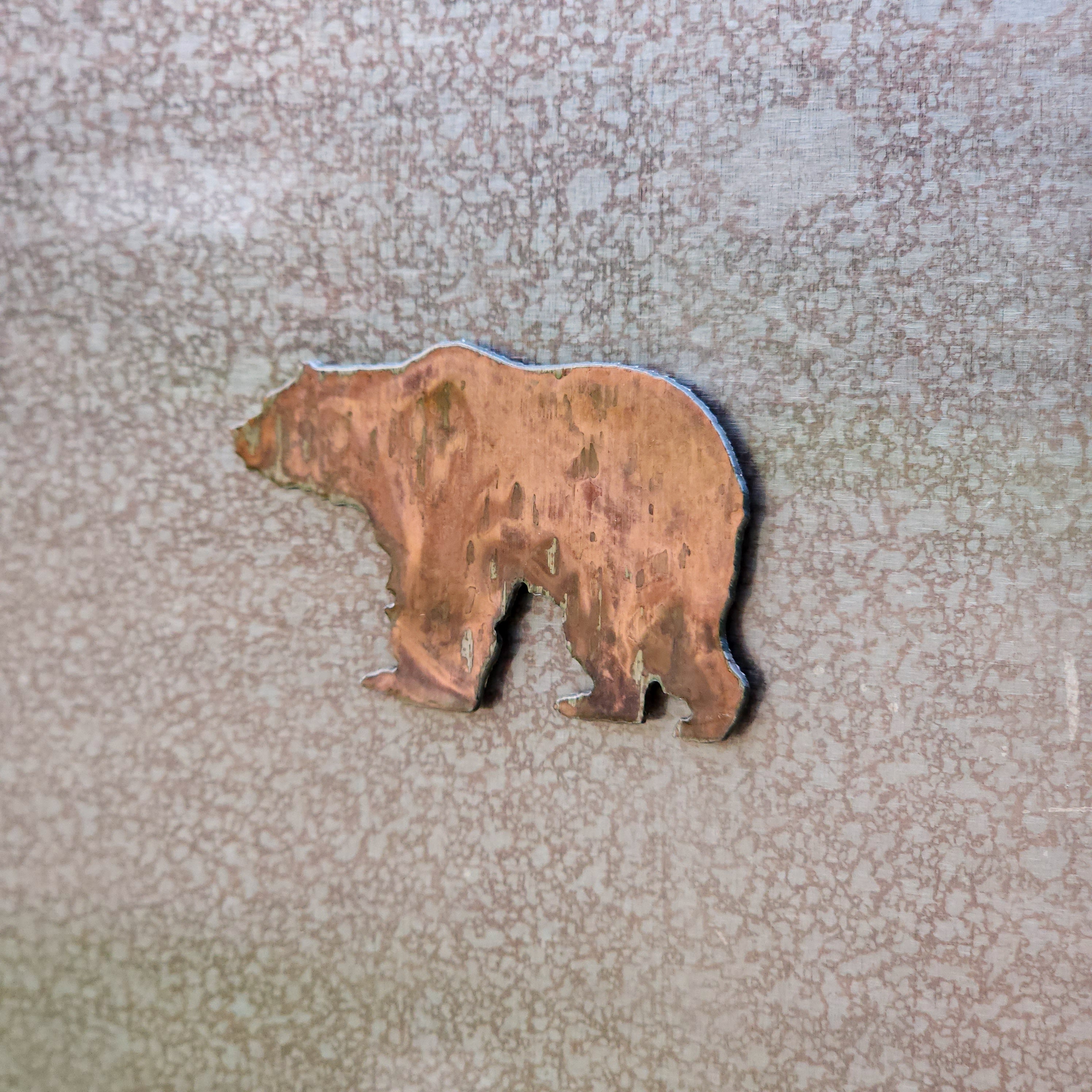Bear Magnet Set