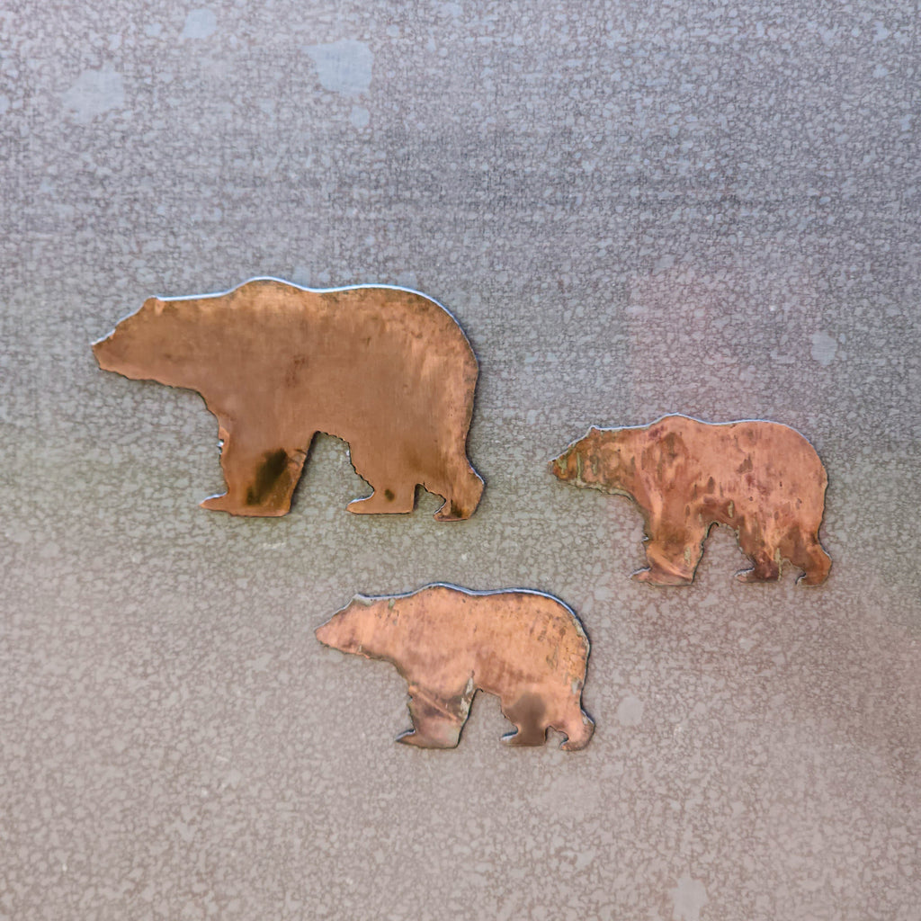 Bear Magnet Set