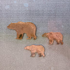 Bear Magnet Set