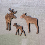 Moose Calf Magnet