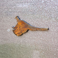 Pheasant Magnet