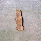 Groundhog Magnet