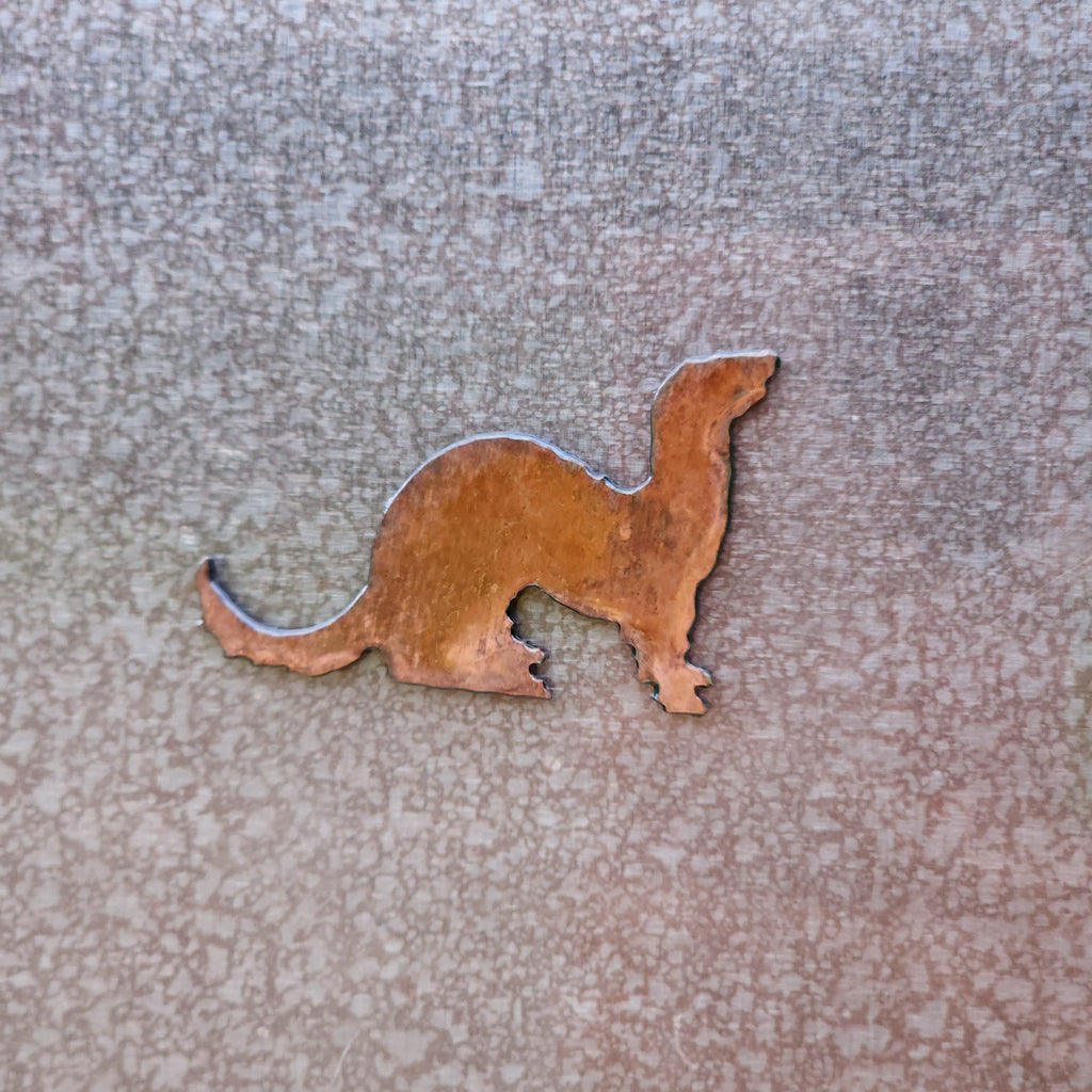 Ferret Magnet