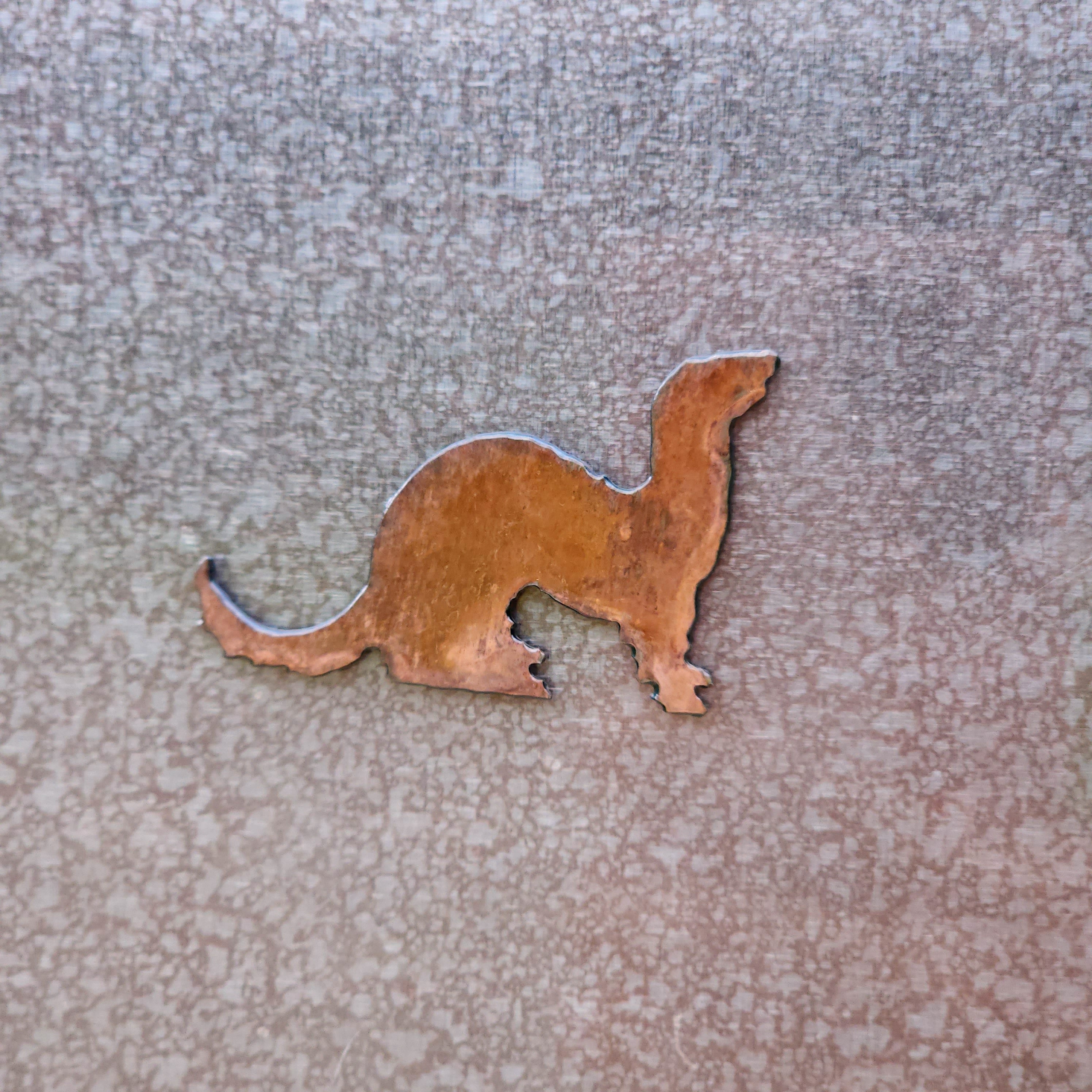 Ferret Magnet