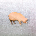 Pig Magnet