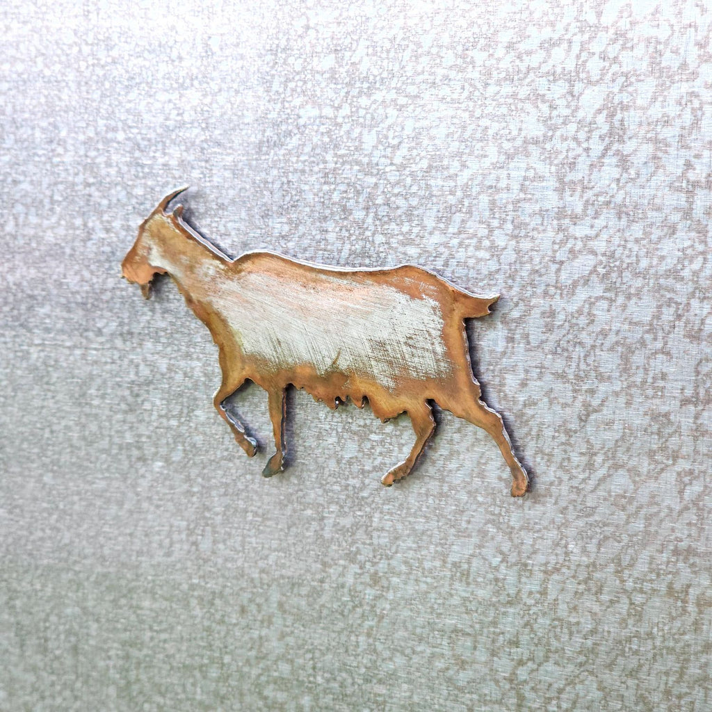 Goat Magnet