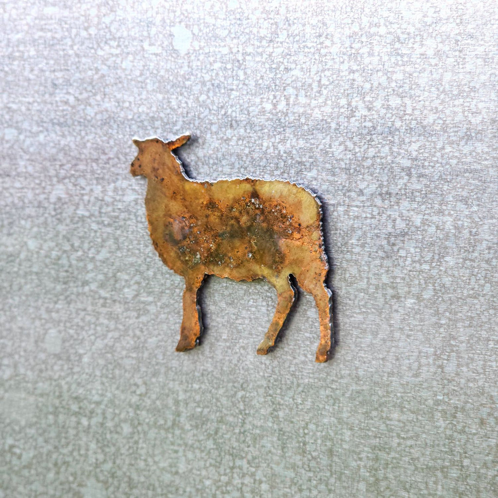 Sheep Magnet