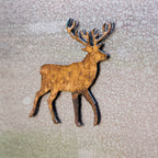 Buck Magnet