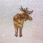 Bull Moose Magnet