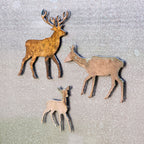 Doe Magnet