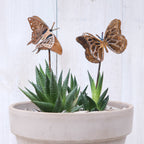 Swallowtail Butterfly Stake