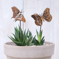 Monarch & Swallowtail Butterfly Stake Set