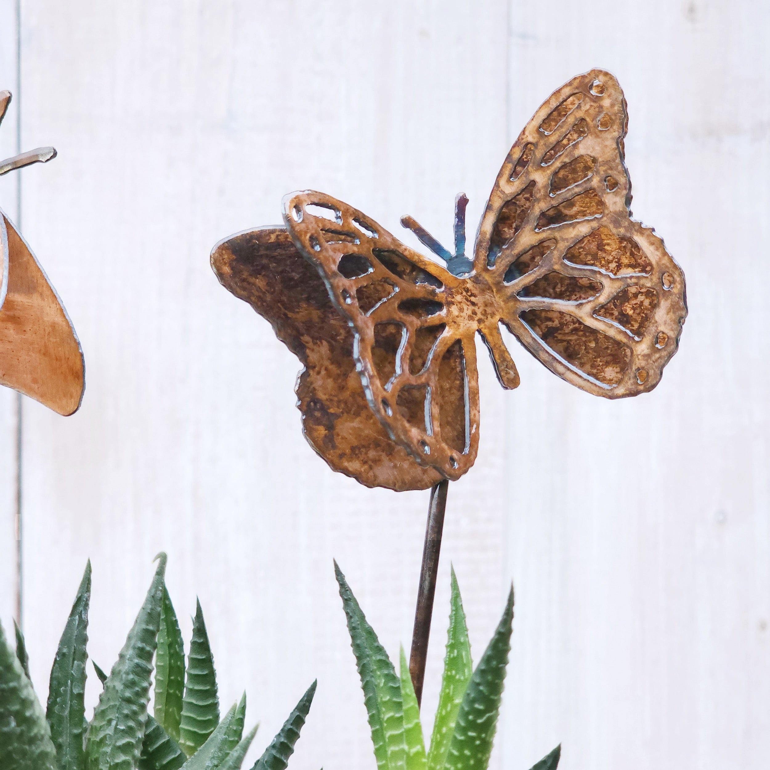 Monarch & Swallowtail Butterfly Stake Set