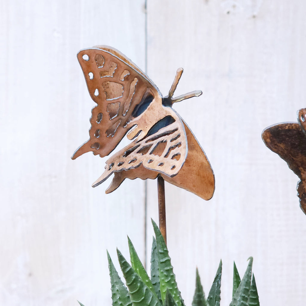 Monarch & Swallowtail Butterfly Stake Set