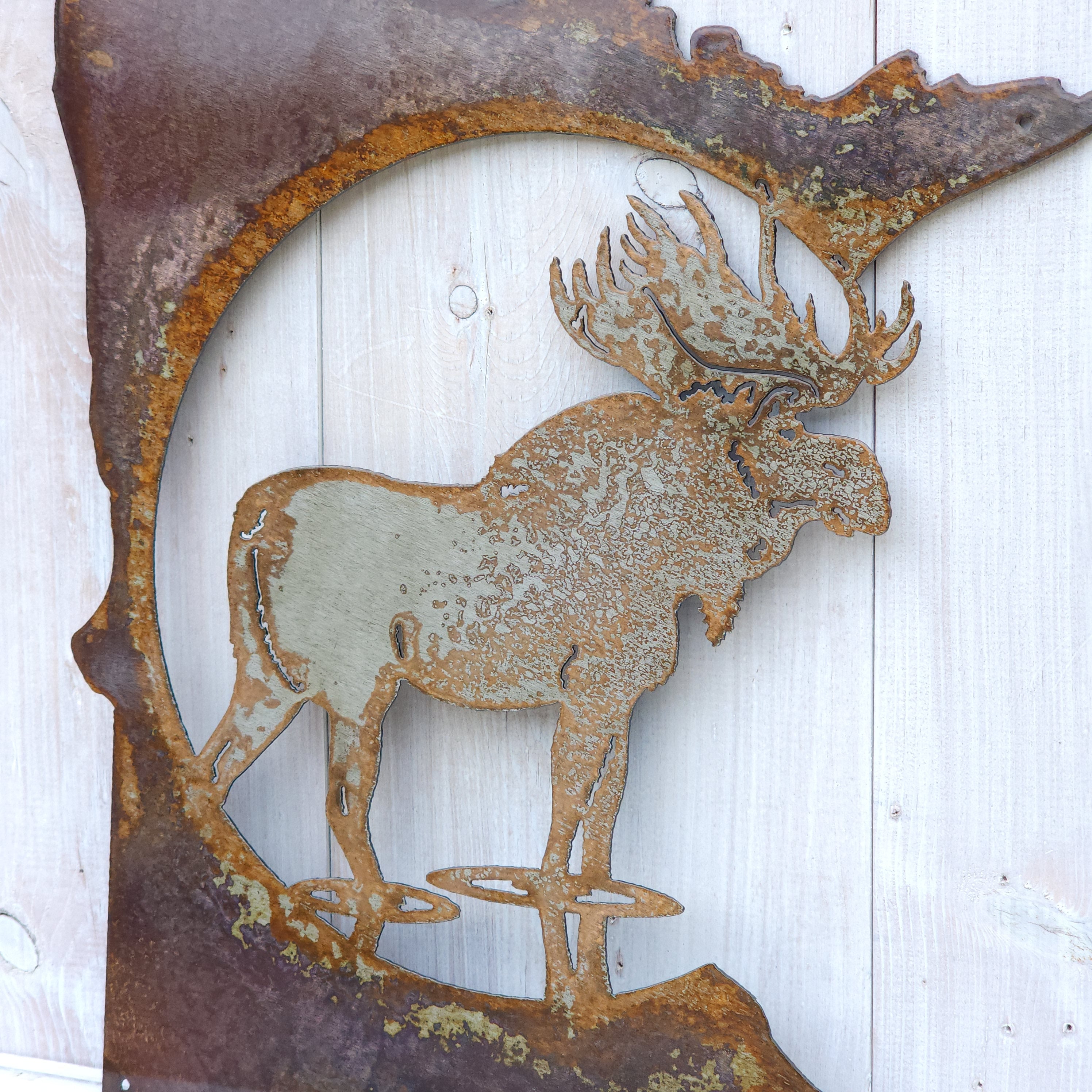Moose MN
