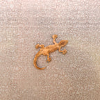 Tiny Lizard Magnet