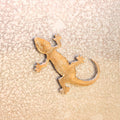 Lizard Magnet