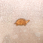 Tiny Turtle Magnet