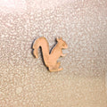 Squirrel Magnet