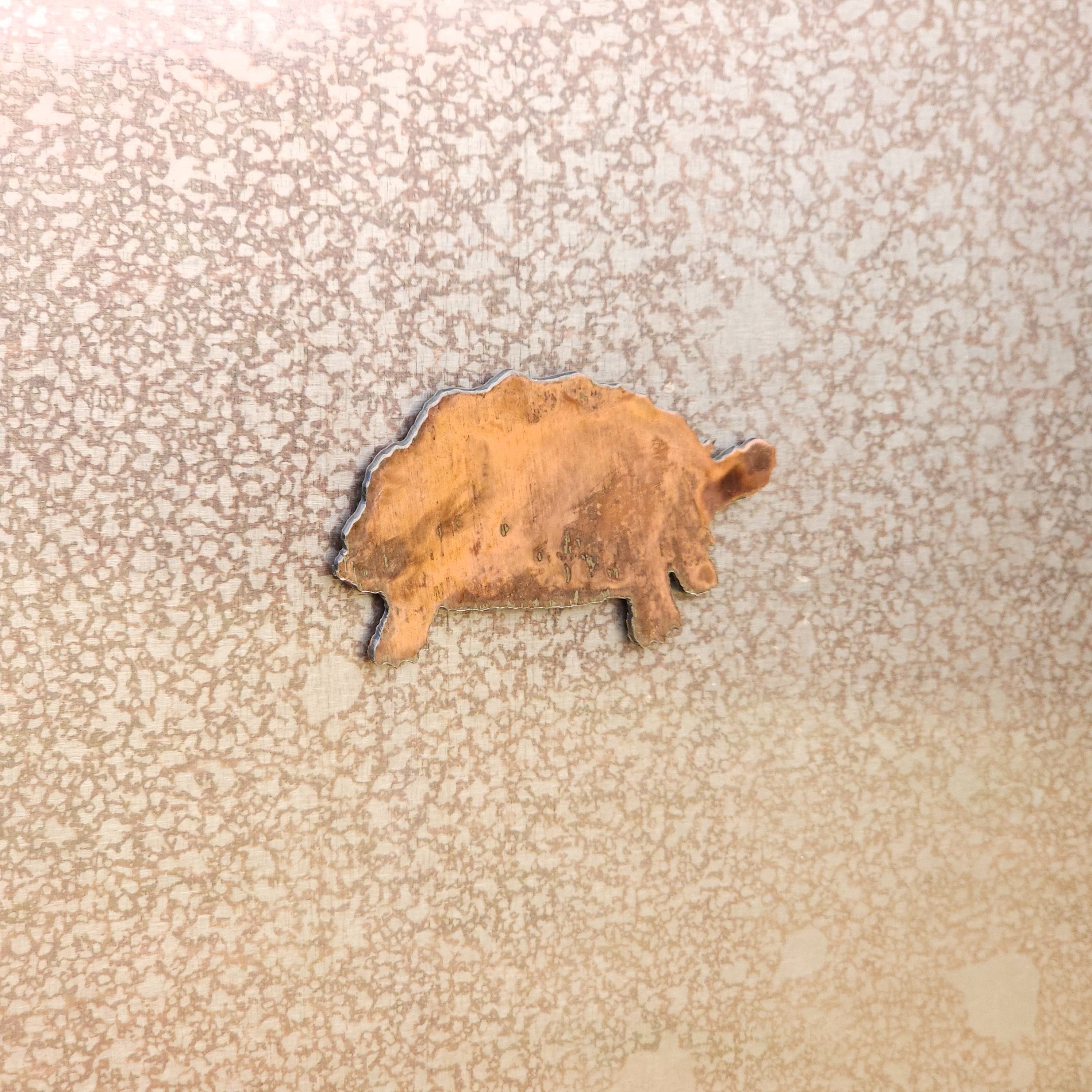 Sulcata Tortoise Magnet