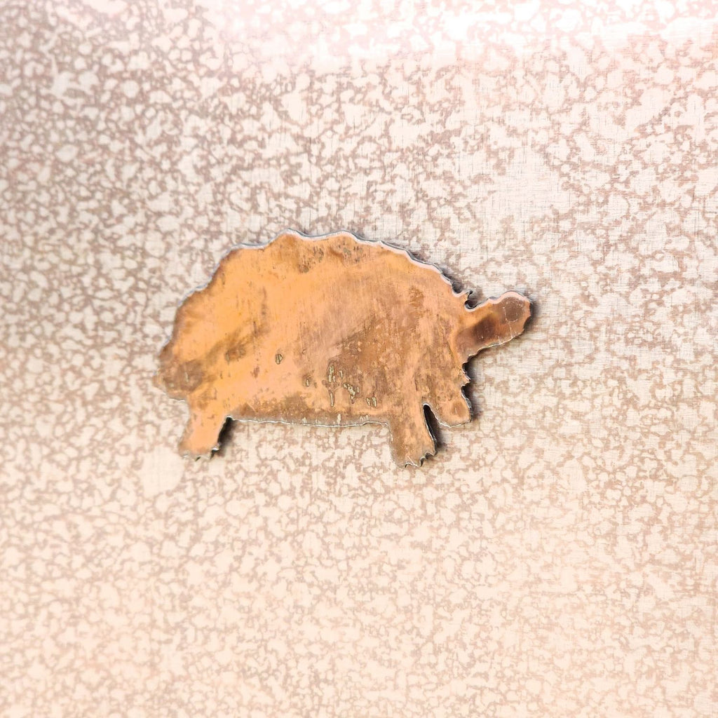 Sulcata Tortoise Magnet