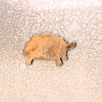Sulcata Tortoise Magnet