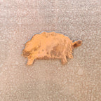 Sulcata Tortoise Magnet