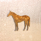 Horse Family Magnet Set